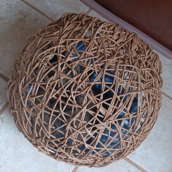 Handmade FiberRush Cat/Dog Bed - Picture 10 of 16